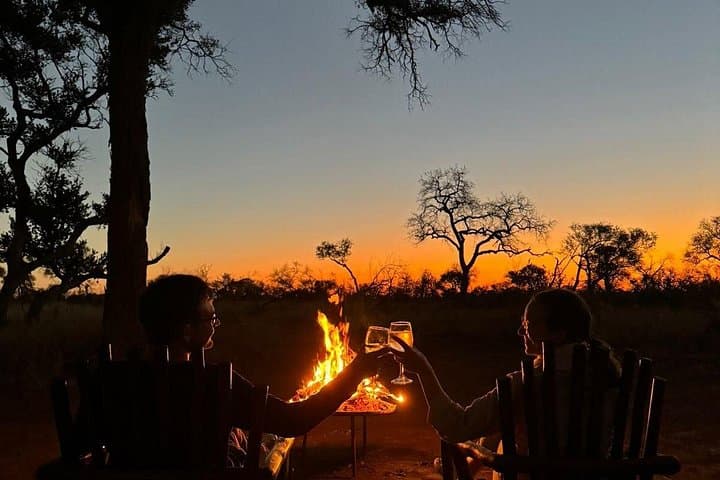 Bush Dinner & Night Game Drive Near Hoedspruit: Gourmet Safari Under the Stars photo 2
