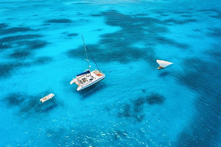 Private Mnemba Island Catamaran Cruise from Kendwa — Snorkel, Swahili Lunch & Open Bar