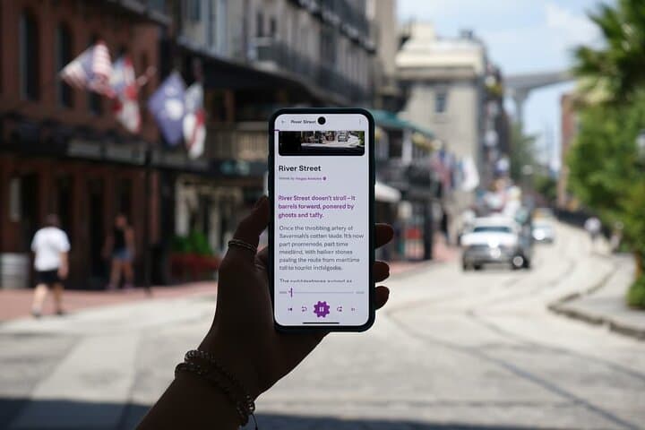 Self-Guided Savannah Walking Tour: Forsyth Park to River Street Audio Guide