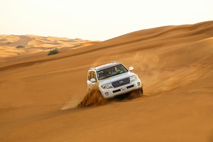 Dubai Red Dune Safari: All-Inclusive Evening Dune Bashing & BBQ