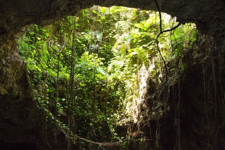 Private Cenotes & Mayan Jungle Zipline Adventure from Puerto Morelos photo 2