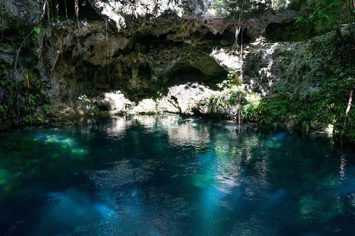 Private Cenotes & Mayan Jungle Zipline Adventure from Puerto Morelos
