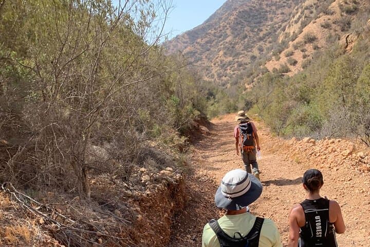 El Gouz Summit Hike: 1,160m Atlas Mountain Trek from Agadir photo 5