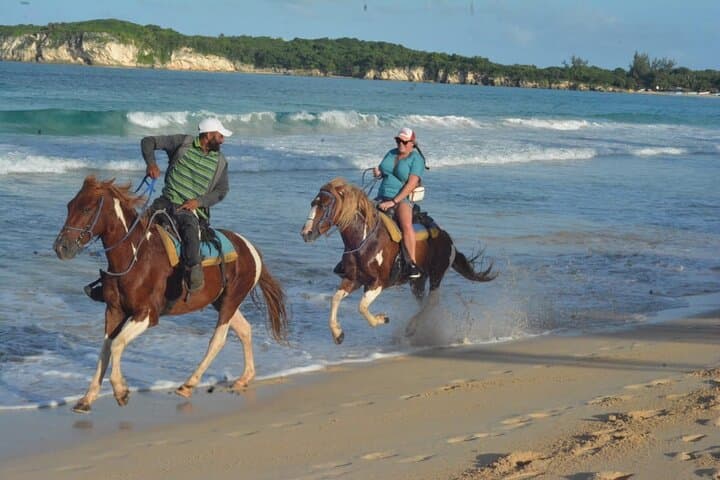 Discover Galloping Adventures at Bavaro Beach