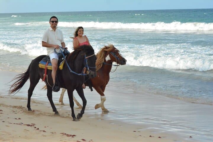 Discover Galloping Adventures at Bavaro Beach photo 3