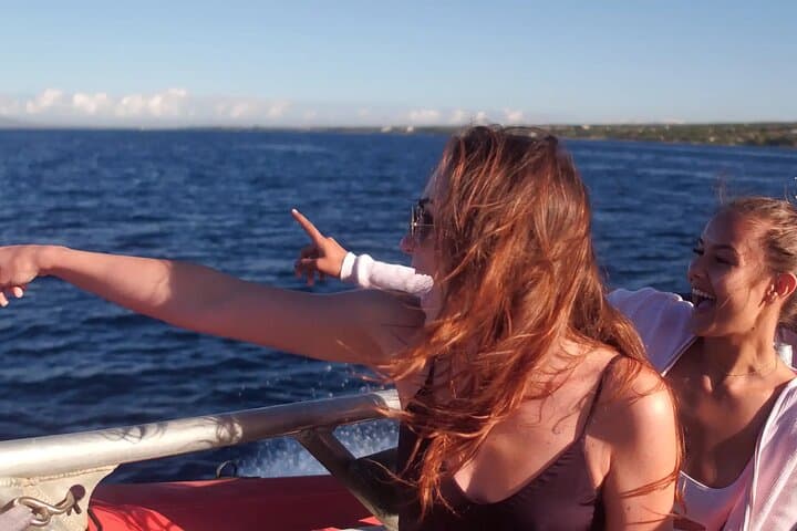 Maalaea Whale Watching Cruise on the Winona — Maui Humpback Tours photo 2