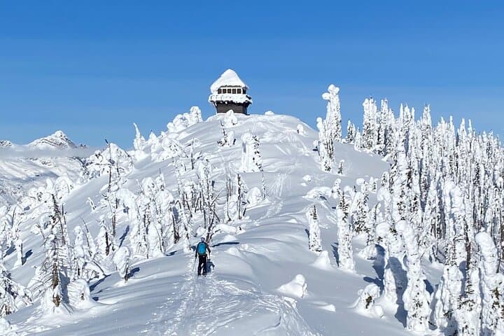Guided Snowshoe and Scenic Drive in Glacier National Park