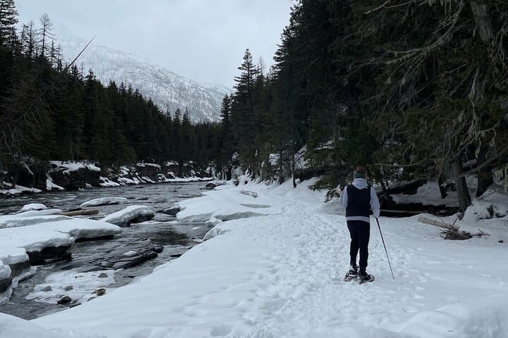 Guided Snowshoe and Scenic Drive in Glacier National Park photo 3
