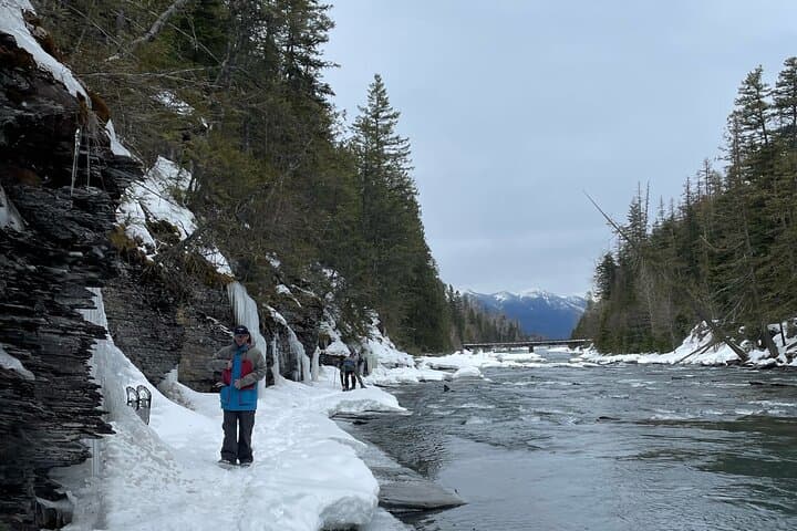 Guided Snowshoe and Scenic Drive in Glacier National Park photo 4