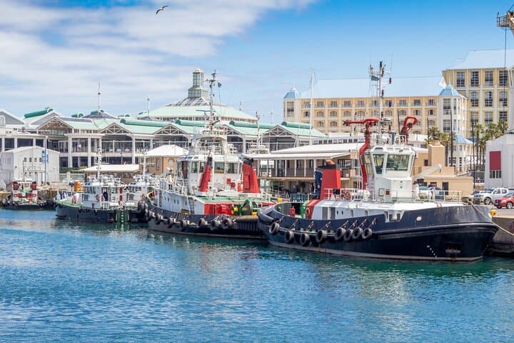 Cape Town Waterfront Walking Tour and Harbour Sightseeing Cruise