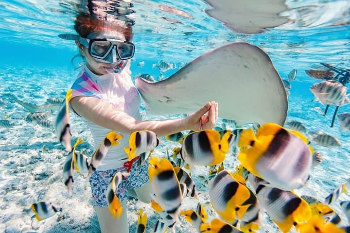 Blue Lagoon Snorkel & Tegenungan Waterfall Day Tour from Ubud photo 3