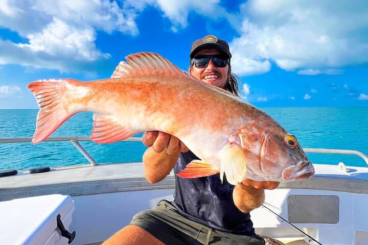 Darwin Offshore Fishing Charter — Full-Day Reef & Sport Fishing photo 2