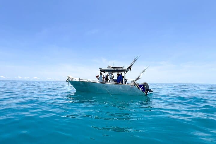 Darwin Offshore Fishing Charter — Full-Day Reef & Sport Fishing photo 5