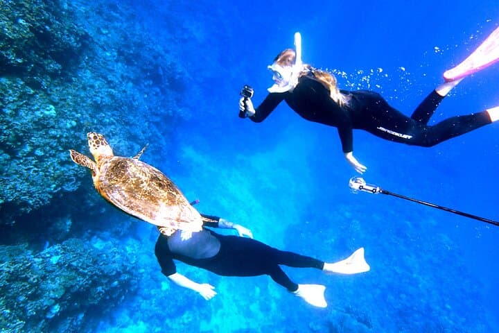 Kerama Islands Introductory Dive: Day Trip from Naha to Snorkel and Dive with Turtles photo 3