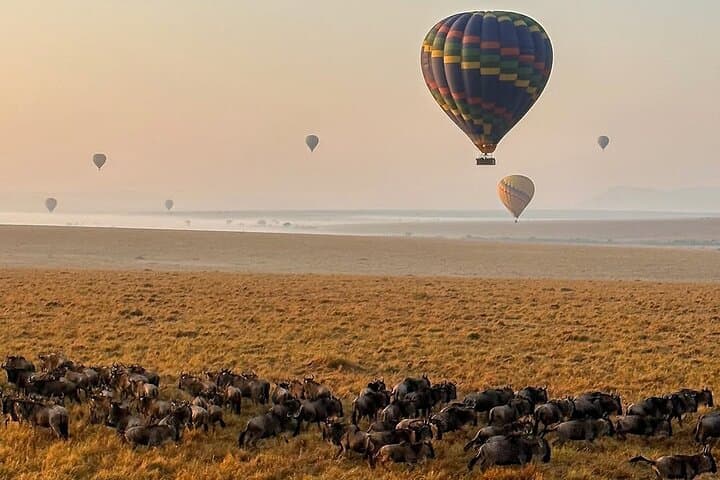 Budget 3-Day Masai Mara Safari: Group Game Drives & Mara River Crossings photo 2