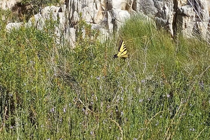 Deep Creek Hot Springs Adventure from Los Angeles: Hike, Soak & Canyon Views photo 4