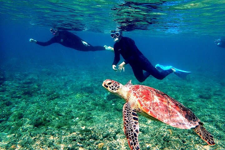 Kerama Islands Full-Day Snorkeling from Naha — Kerama Blue, Turtles & Winter Whale Watch photo 1