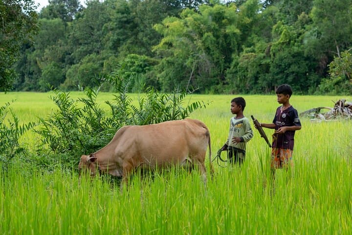15-Day Cambodia Culture, Heritage & Coastal Adventures
