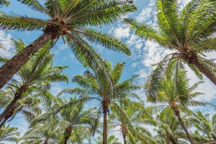 Cherngtalay Nature Camp for Ages 3–6: Outdoor Learning in Phuket photo 5