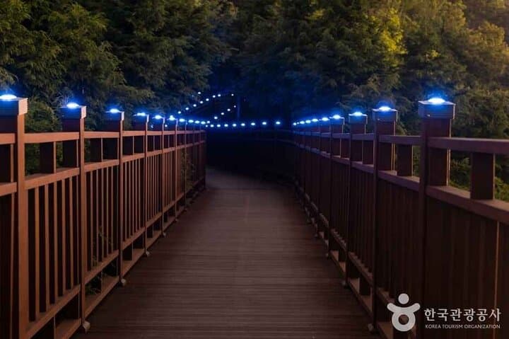 Night Hike to Bongnaesan: Busan's Best Ocean View at Dusk photo 5