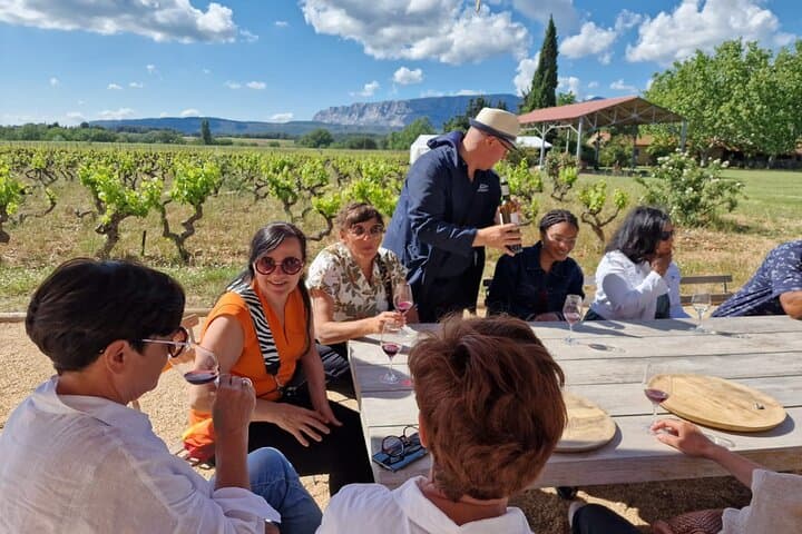 Half-Day Rosé & Côtes de Provence Wine Tour from Marseille photo 2