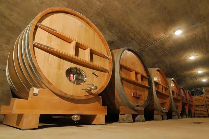 Winter Beaujolais Half‑Day 4WD Wine Tour from Lyon photo 6