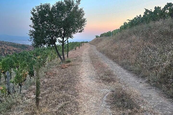 Private Sunset in Berat: Wine, Fruit & Panoramic Views