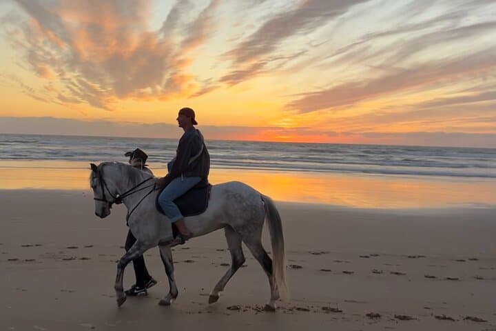 Sunset Horseback Ride on Taghazout Bay: Beach Gallops & Beginner-Friendly Trails photo 4