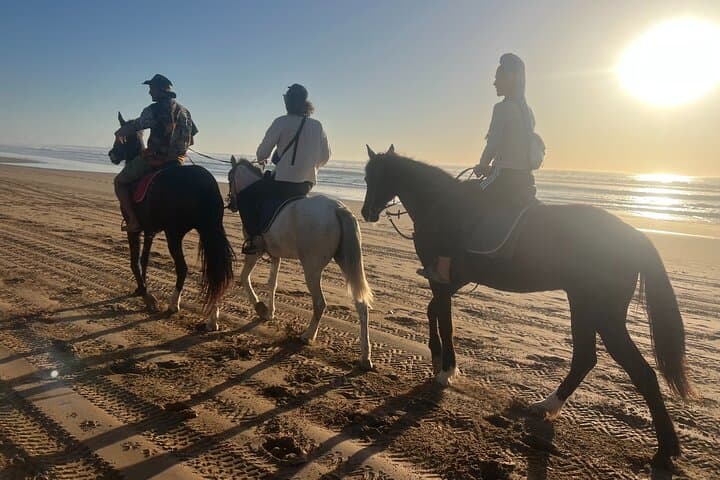 Sunset Horseback Ride on Taghazout Bay: Beach Gallops & Beginner-Friendly Trails photo 6
