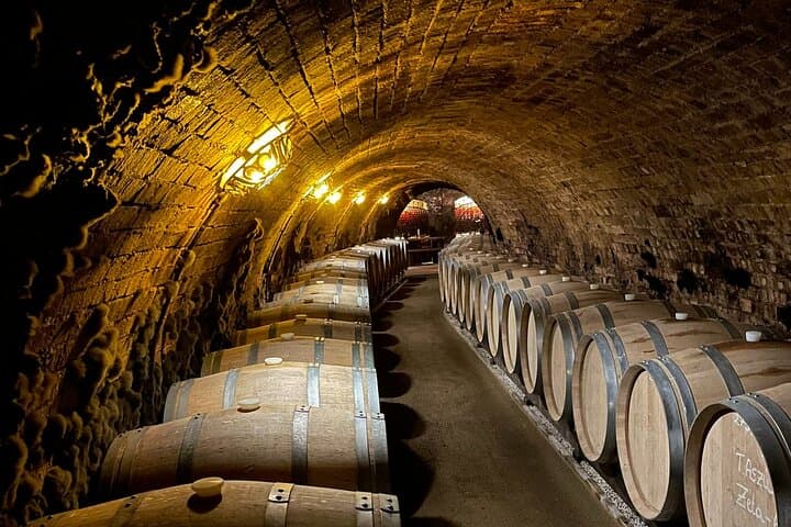 Tokaj Aszú Wine Tour: Disznókő, Oremus & Hercegkút Cellars photo 4