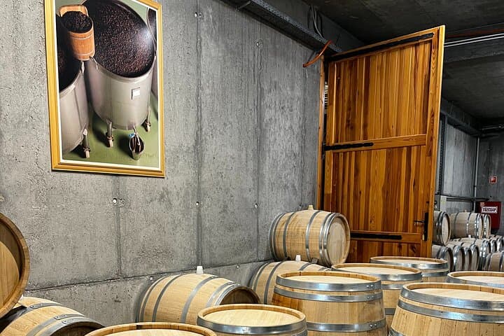 Tokaj Aszú Wine Tour: Disznókő, Oremus & Hercegkút Cellars photo 6