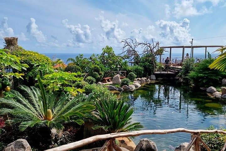 Explore Bird Island: Madeira Half-Day Private Tour to Campanário's Avian Park photo 1