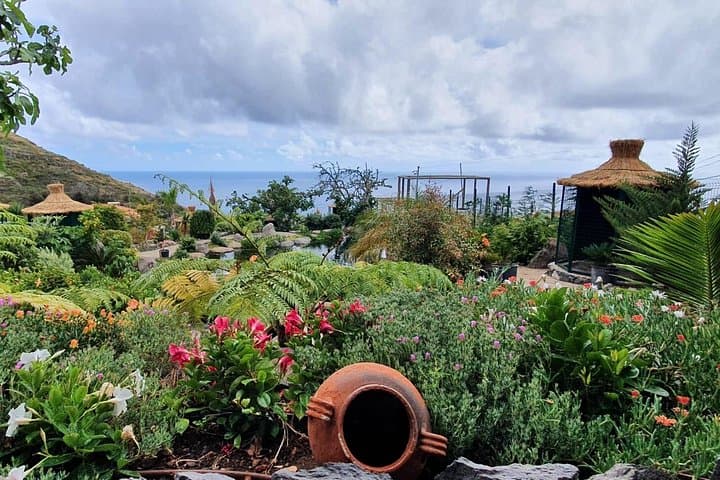 Explore Bird Island: Madeira Half-Day Private Tour to Campanário's Avian Park photo 4