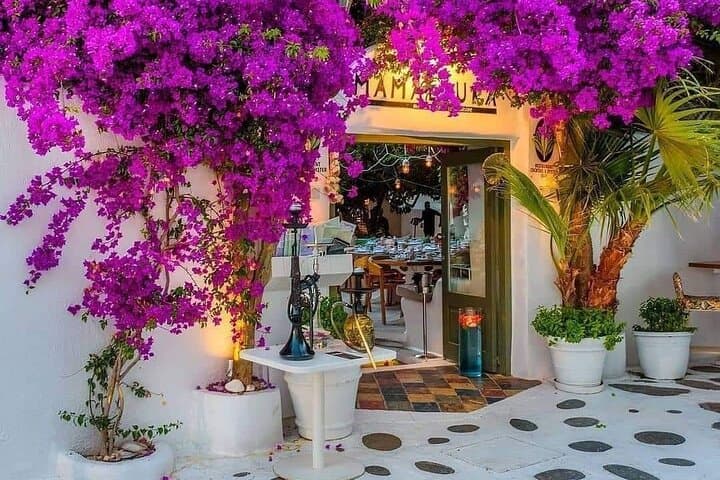 Mykonos Deluxe Escape: Elia Beach Swim & Mykonos Town Walk photo 4