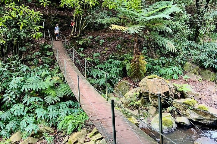 E-Bike and Hike Through Rural Madeira — Levadas, Local Cheese & Mountain Views photo 2