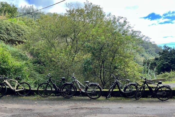 E-Bike and Hike Through Rural Madeira — Levadas, Local Cheese & Mountain Views photo 4