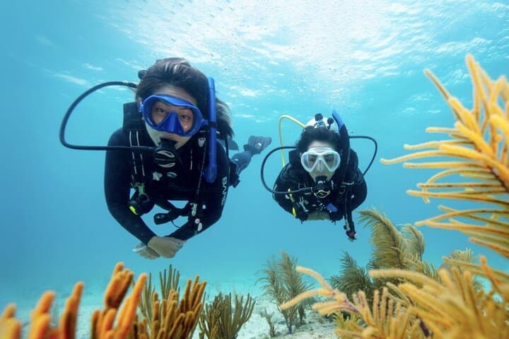 Complete PADI Open Water Referral Dives 1 & 2 in Anguilla