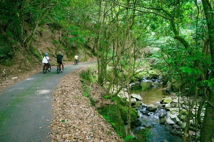Half-Day E-Bike Tour Through Kasagi's Countryside and Kasagidera Views