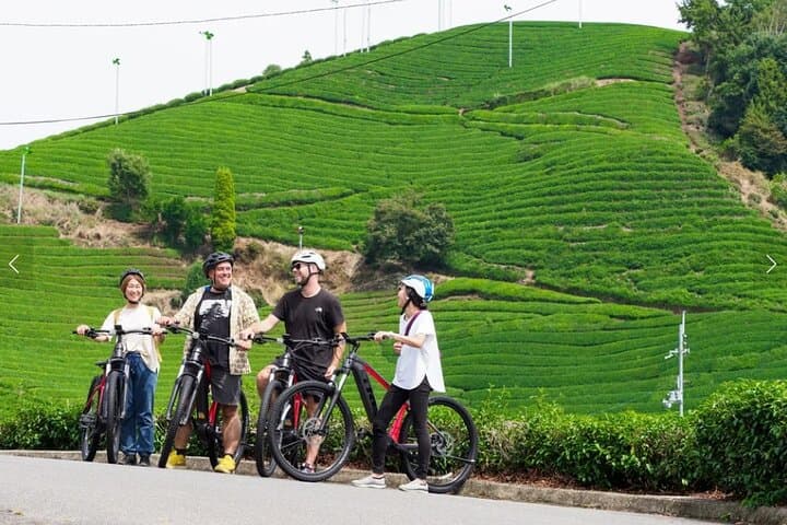 Half-Day E-Bike Tour Through Kasagi's Countryside and Kasagidera Views photo 2