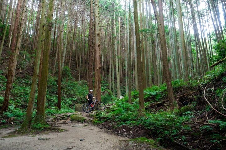 Half-Day E-Bike Tour Through Kasagi's Countryside and Kasagidera Views photo 3