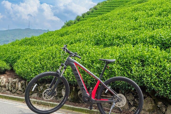 Half-Day E-Bike Tour Through Kasagi's Countryside and Kasagidera Views photo 6
