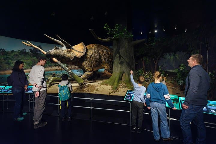 Visit the American Museum of Natural History: Practical Guide to NYC’s Iconic Science Museum photo 4