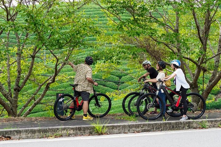 Full-Day E-Bike Tour: Wazuka Tea Fields & Kasagi Riverside Ride photo 4