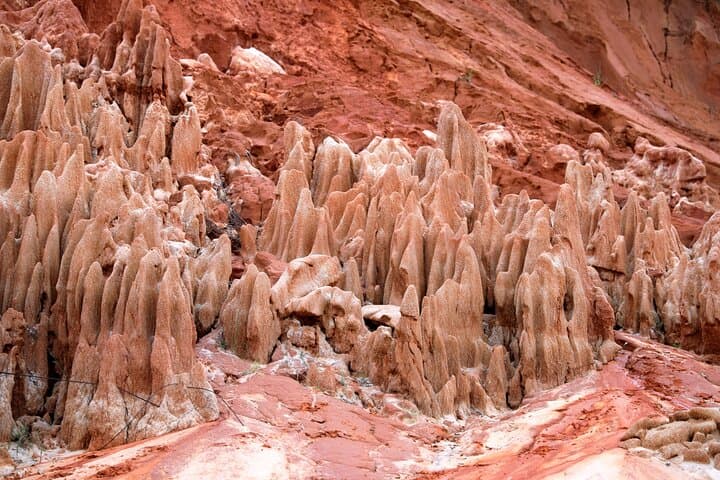 Red Tsingys Hike from Diego Suarez — Half-Day Red Limestone Adventure photo 6
