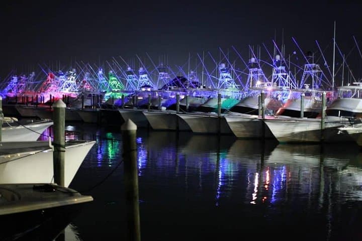 Assateague Island Sunset Cruise from Ocean City — Private 12-Passenger Bay & Ocean Experience photo 4