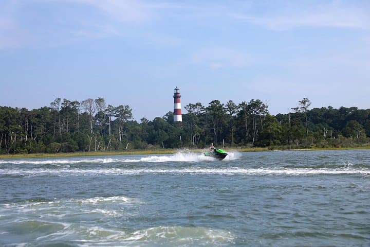 Assateague Island Private Cruise: Ocean City Wild Pony & Dolphin Hour photo 3