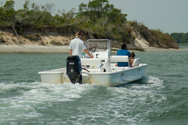 Assateague Island Private Cruise: Ocean City Wild Pony & Dolphin Hour photo 4