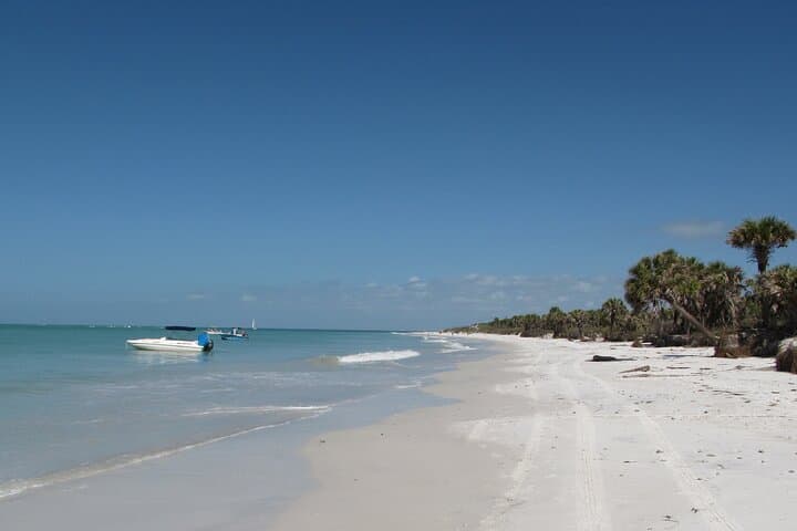 Private Egmont Key Excursion — Boat to Egmont Key State Park, Lighthouse & Shelling photo 2