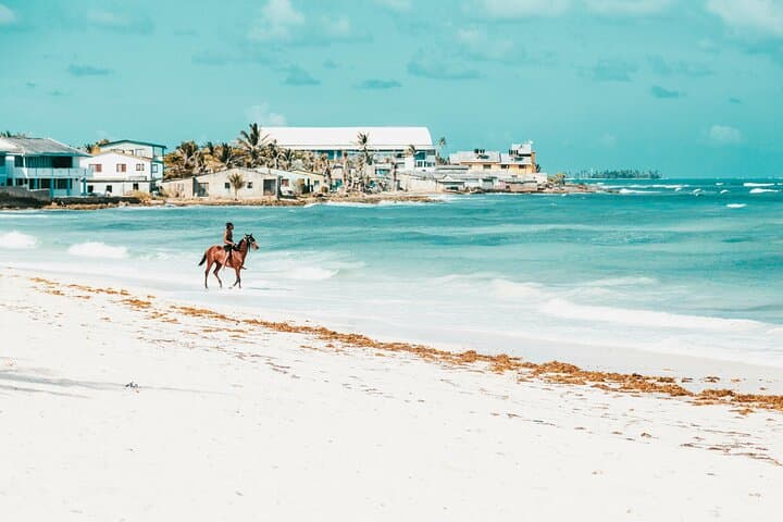 Sint Maarten Sunset Horseback Ride & Campfire at Seaside Nature Park