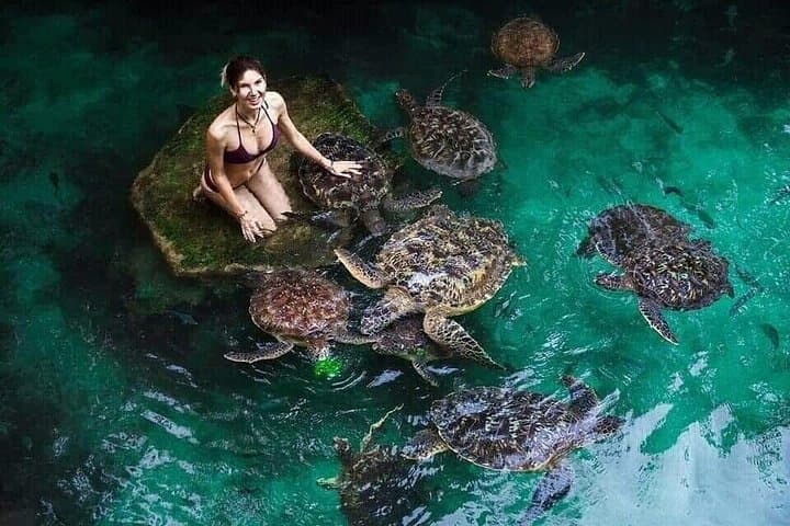 Kizimkazi Dolphin Tour Zanzibar — Salaam Cave & Turtle Swim photo 4